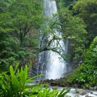 Los Chorros 1st waterfall